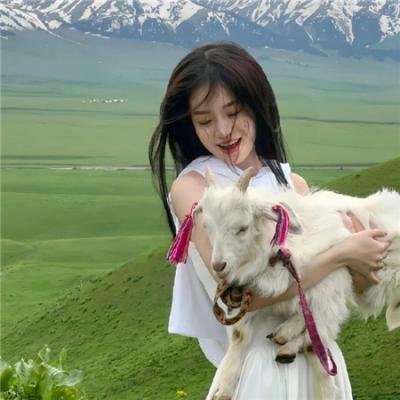 七合圣石战记